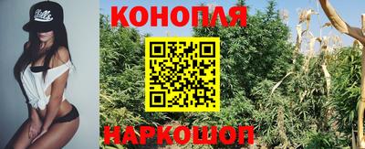 ALPHA PVP Кунгур