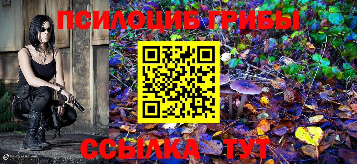 Псилоцибиновые грибы Cubensis Ижевск