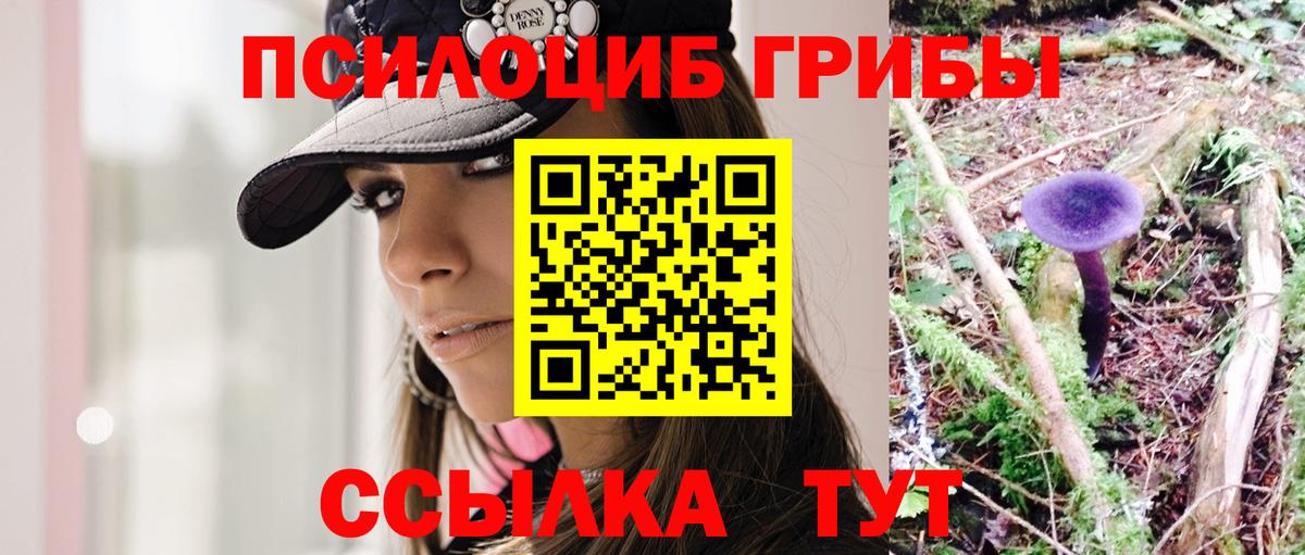Галлюциногенные грибы мицелий  Псилоцибиновые грибы прущие грибы  Вход с VPN  Ижевск 